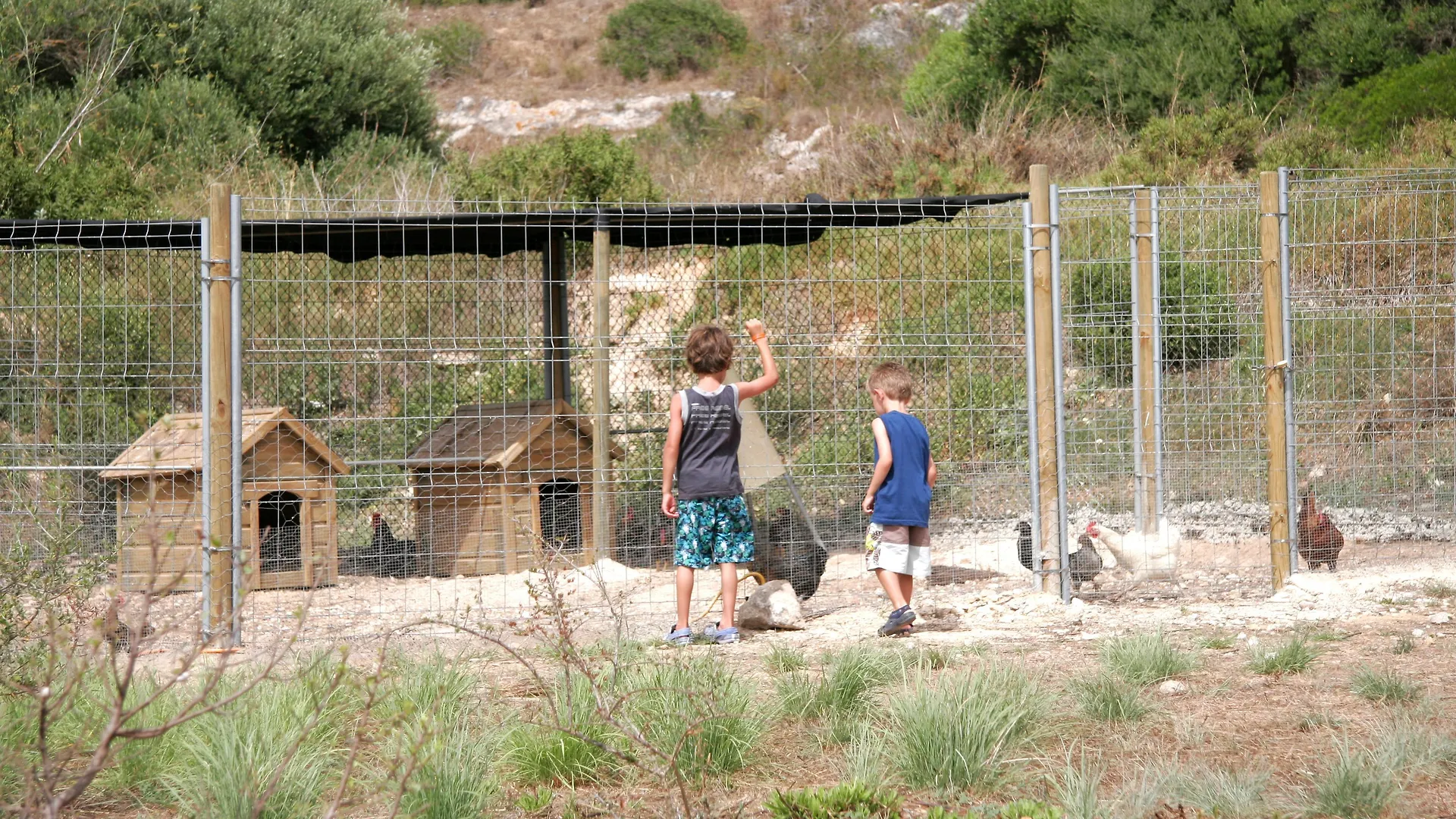 Hotel Royal Son Bou Family Club